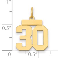 14K Small Polished Number 30 Charm view 2
