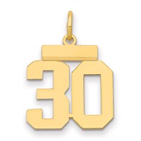 14K Small Polished Number 30 Charm view 1