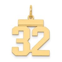 14K Yellow Gold Small Polished Number 32 Charm view 1