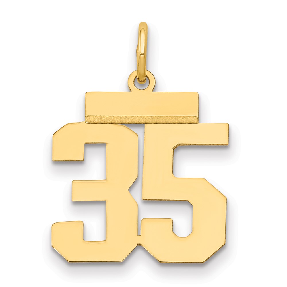 14K Yellow Gold Small Polished Number 35 Charm