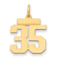 14K Yellow Gold Small Polished Number 35 Charm view 1
