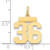 14K Yellow Gold Small Polished Number 36 Charm view 2