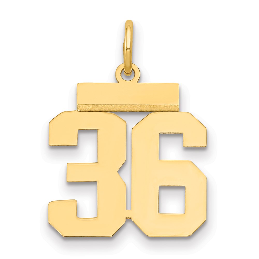 14K Yellow Gold Small Polished Number 36 Charm