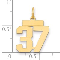 14K Yellow Gold Small Polished Number 37 Charm view 2