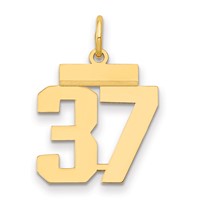14K Yellow Gold Small Polished Number 37 Charm view 1