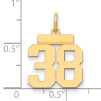 14K Yellow Gold Small Polished Number 38 Charm view 2