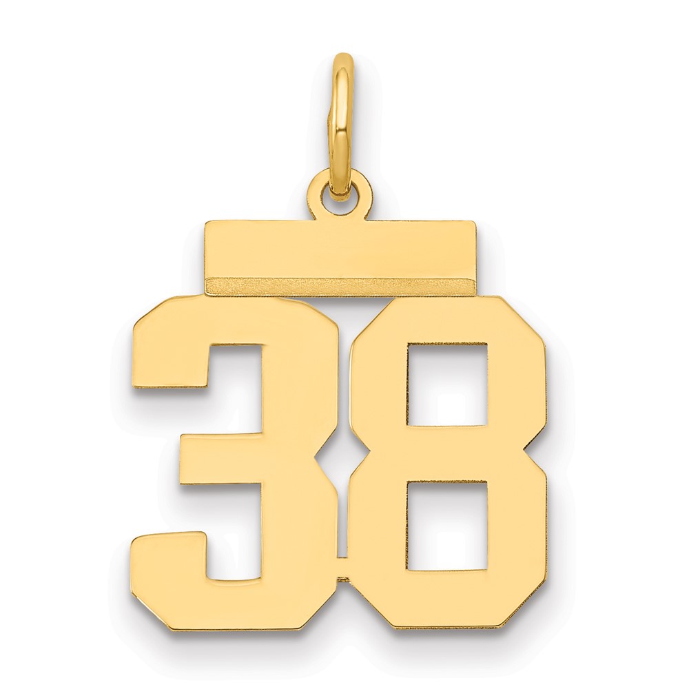 14K Yellow Gold Small Polished Number 38 Charm