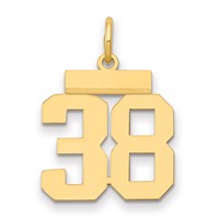 14K Yellow Gold Small Polished Number 38 Charm view 1