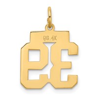 14K Yellow Gold Small Polished Number 39 Charm view 3