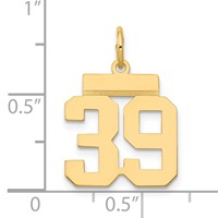 14K Yellow Gold Small Polished Number 39 Charm view 4