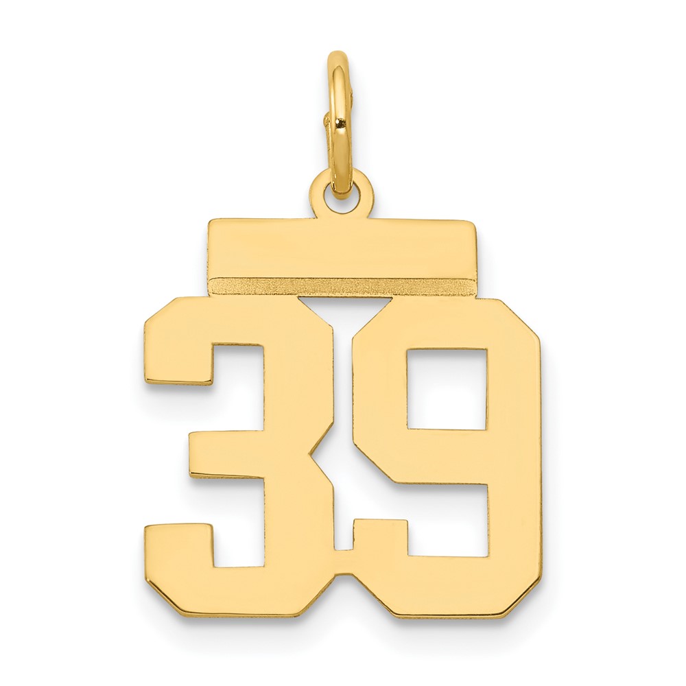 14K Yellow Gold Small Polished Number 39 Charm