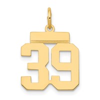 14K Yellow Gold Small Polished Number 39 Charm view 1