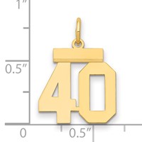 14K Yellow Gold Small Polished Number 40 Charm view 2