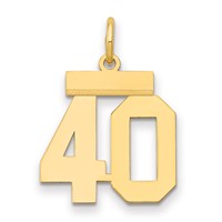 14K Yellow Gold Small Polished Number 40 Charm view 1