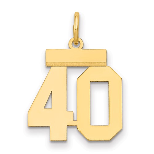 14K Yellow Gold Small Polished Number 40 Charm
