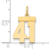 14K Yellow Gold Small Polished Number 41 Charm view 2