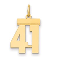 14K Yellow Gold Small Polished Number 41 Charm view 1