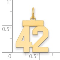 14K Yellow Gold Small Polished Number 42 Charm view 2