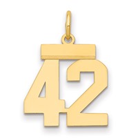 14K Yellow Gold Small Polished Number 42 Charm view 1
