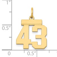 14K Small Polished Number 43 Charm view 3