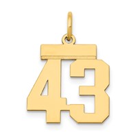 14K Small Polished Number 43 Charm view 1