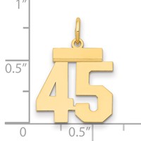 14K Yellow Gold Small Polished Number 45 Charm view 2