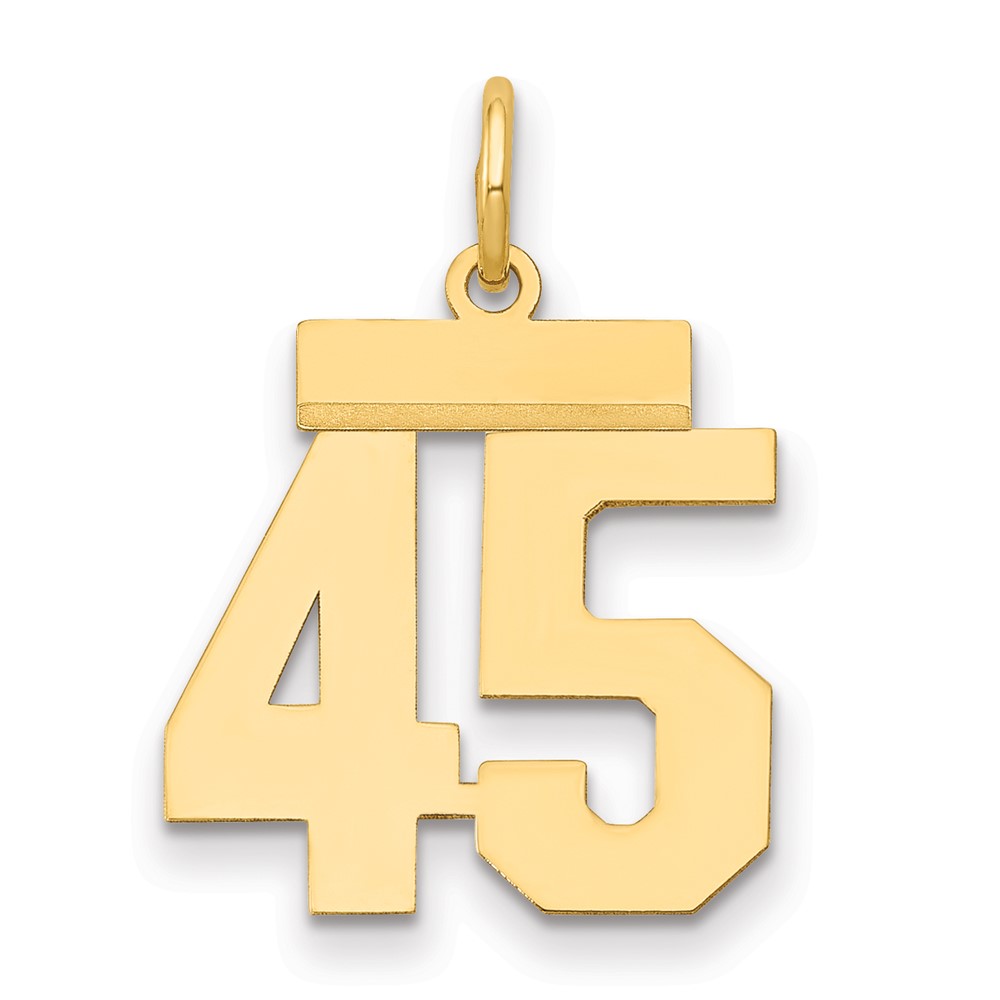 14K Yellow Gold Small Polished Number 45 Charm