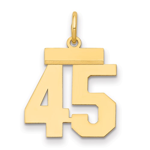 14K Yellow Gold Small Polished Number 45 Charm