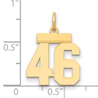 14K Small Polished Number 46 Charm view 2