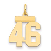 14K Small Polished Number 46 Charm view 1