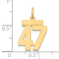 14K Yellow Gold Small Polished Number 47 Charm view 4