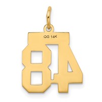 14K Yellow Gold Small Polished Number 48 Charm view 3
