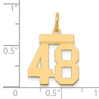 14K Yellow Gold Small Polished Number 48 Charm view 4