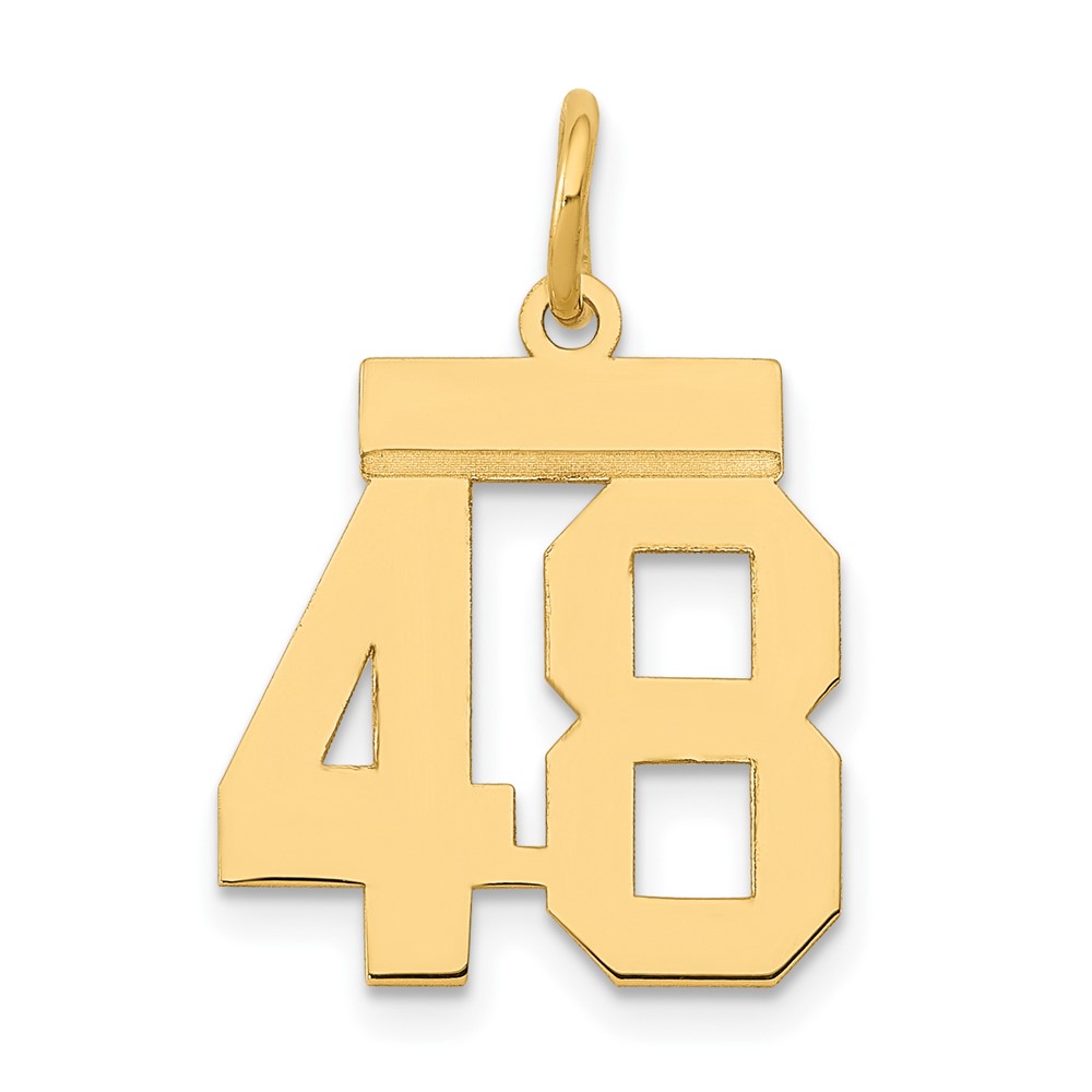 14K Yellow Gold Small Polished Number 48 Charm