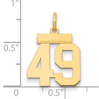 14K Small Polished Number 49 Charm view 2