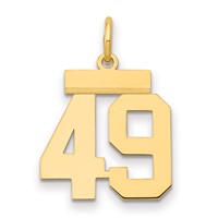 14K Small Polished Number 49 Charm view 1