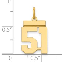 14K Small Polished Number 51 Charm view 4