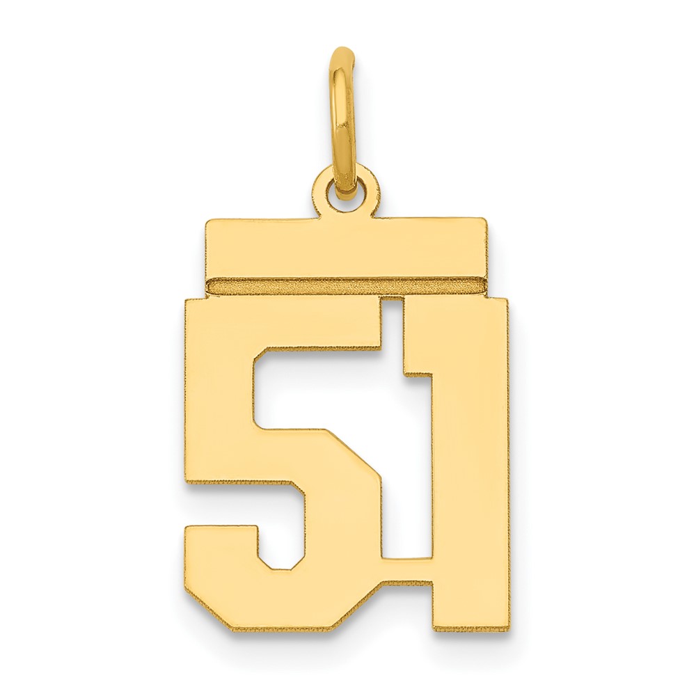 14K Small Polished Number 51 Charm