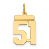 14K Small Polished Number 51 Charm view 1