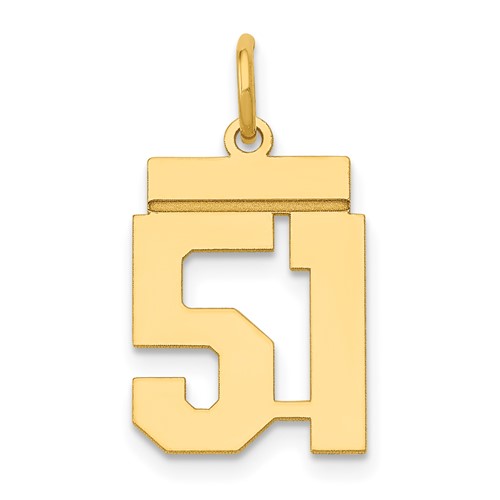 14K Yellow Gold Small Polished Number 51 Charm