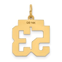 14K Yellow Gold Small Polished Number 53 Charm view 3