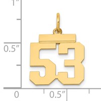 14K Yellow Gold Small Polished Number 53 Charm view 4