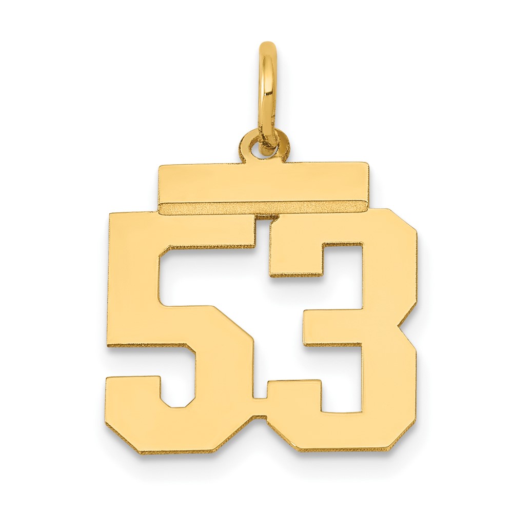 14K Yellow Gold Small Polished Number 53 Charm
