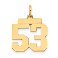 14K Yellow Gold Small Polished Number 53 Charm view 1