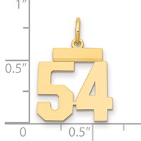 14K Small Polished Number 54 Charm view 2