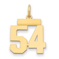 14K Small Polished Number 54 Charm view 1