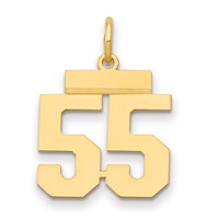 14K Small Polished Number 55 Charm view 1