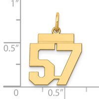 14K Yellow Gold Small Polished Number 57 Charm view 3