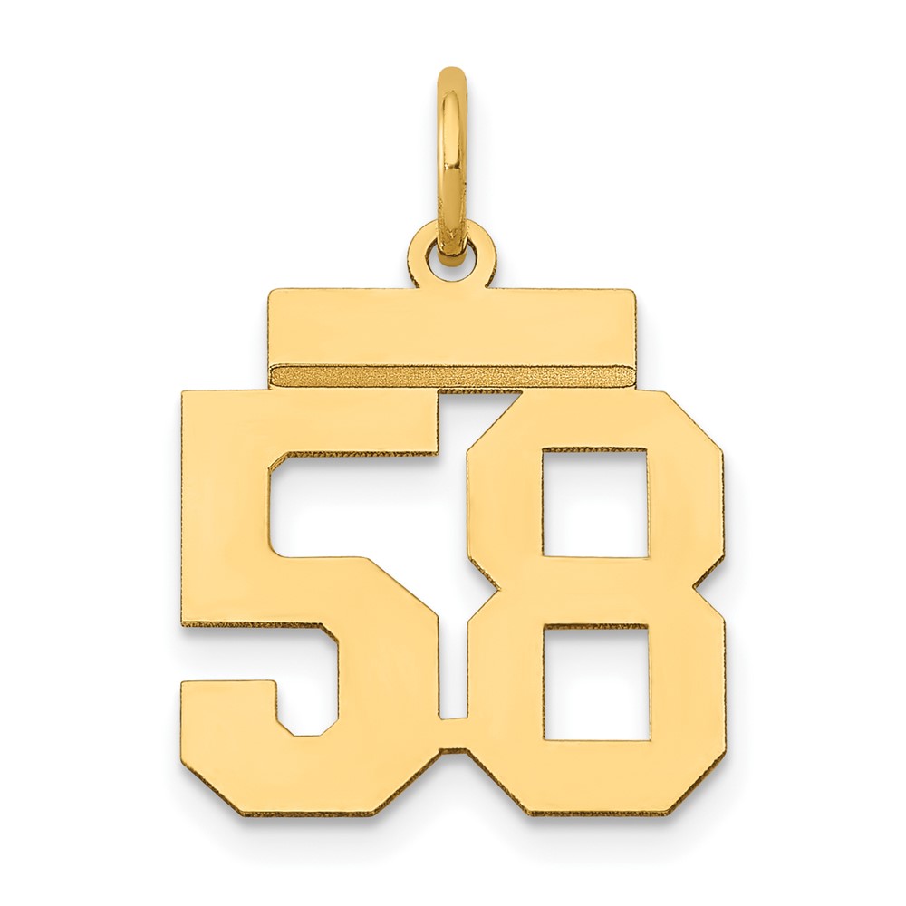 14K Small Polished Number 58 Charm