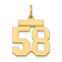 14K Small Polished Number 58 Charm view 1